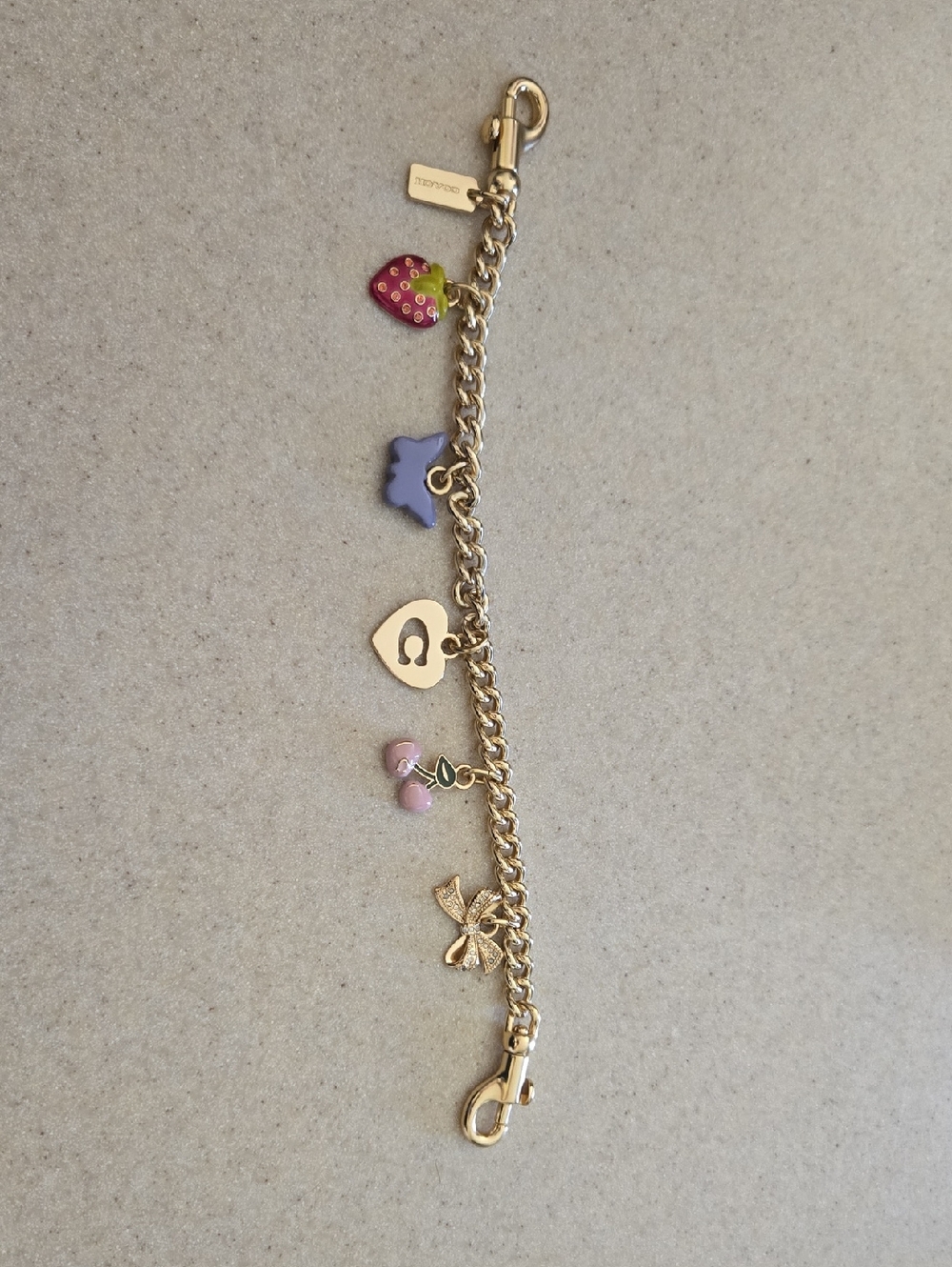 Coach Purse Chain